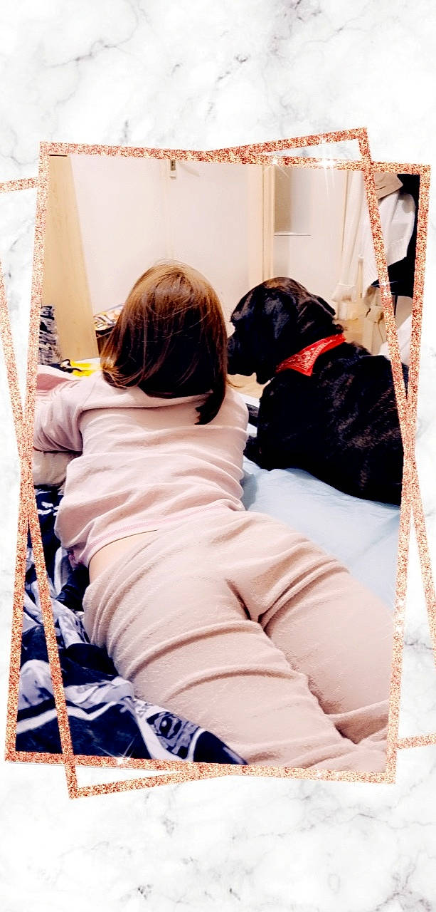 Nikita a rejoint le concours — aidez-le/la à gagner de superbes lots ! bed, bedding, bedroom, carnivore, child, comfort, companion_dog, couch, curtain, dog, dog_breed, fur, linens, magenta, nap, room, sitting, sporting_group, winter, working_animal