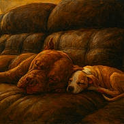 Ozzy And Meat joined the competition — help win amazing prizes! artistic_texture, canine, companion, couch, cozy, dog, dogs, domestic_animal, fur, lamp, leather_couch, living_room, muzzle, nap, pair, pet, recliner, sleeping_dog, snuggle, warm_lighting