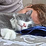 cat, sleeping, person, face, paw, blanket, fur, cozy, indoor, resting, closeup, gray_cat, white_cat, human, relax, soft, cute, animal, bed, comfort