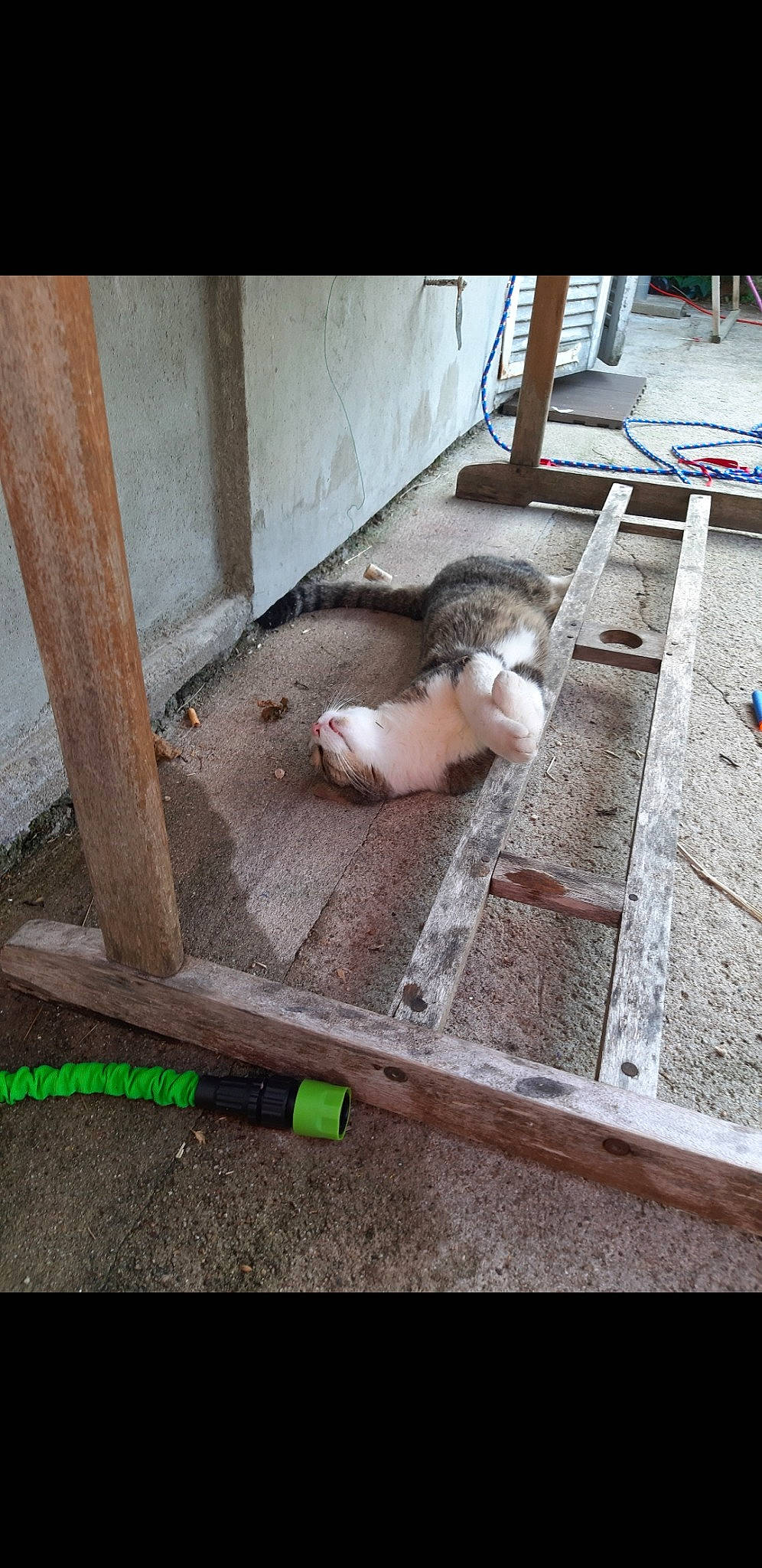 Titou participe au concours pour gagner de l'argent avec cette photo : child, floor, flooring