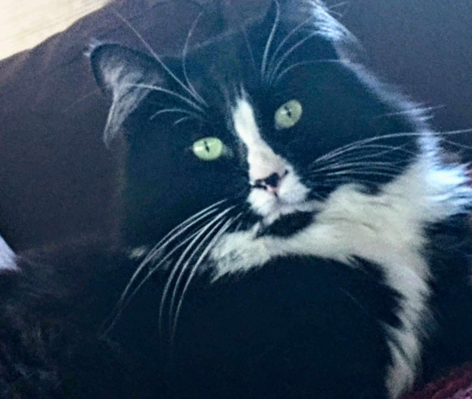 Charlie