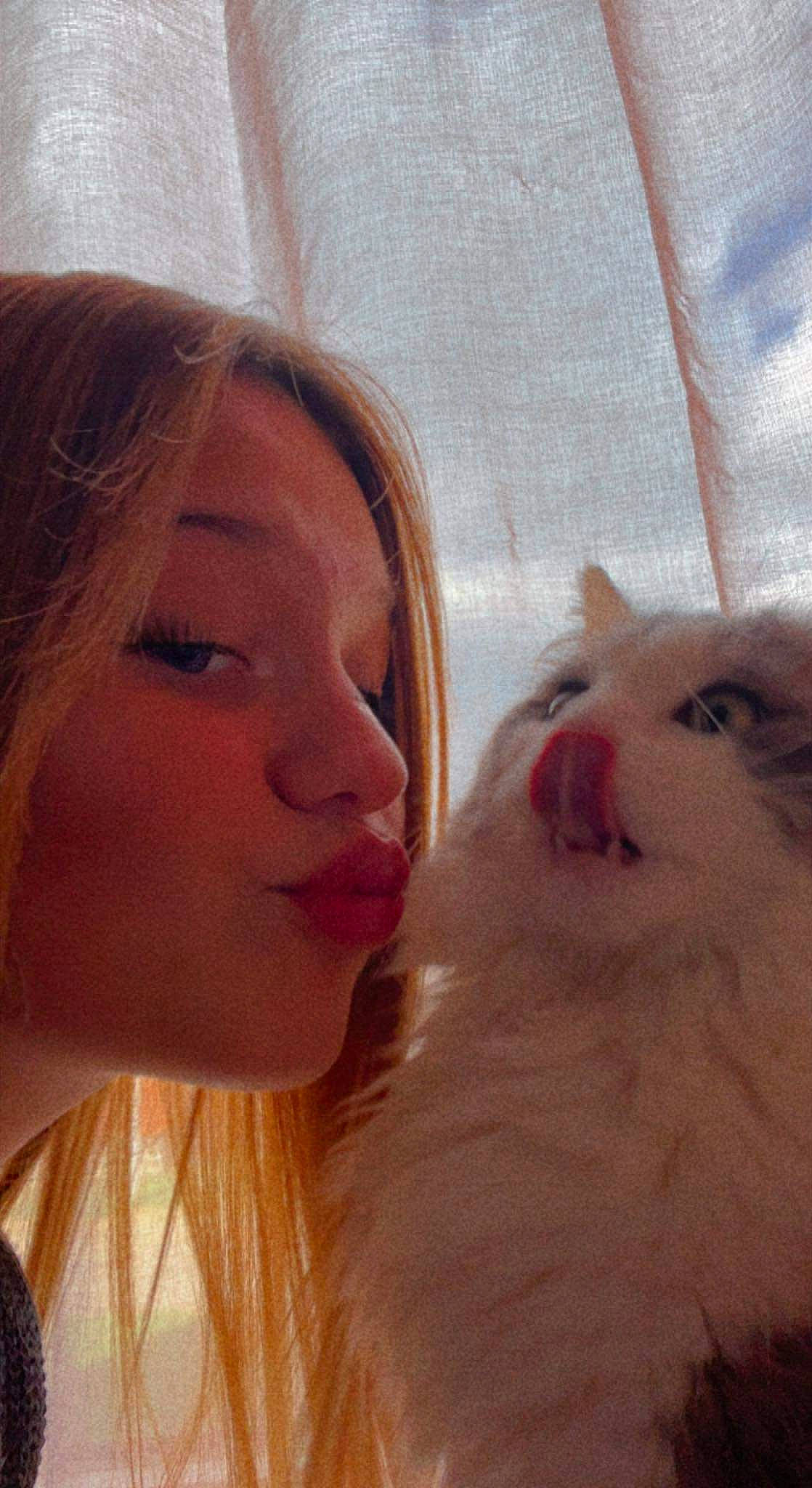 Mamour participe au concours pour gagner de l'argent avec cette photo : carnivore, cat, ear, eye, eyebrow, eyelash, fawn, felidae, gesture, happy, iris, jaw, lip, mouth, neck, nose, skin, small_to_medium_sized_cats, sunglasses, whiskers