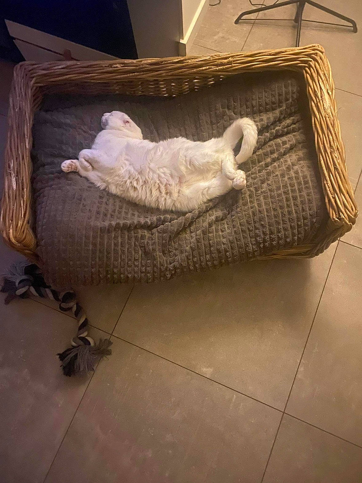 Vanille participe au concours pour gagner de l'argent avec cette photo : art, bedding, comfort, concrete, couch, floor, flooring, hardwood, home_accessories, linens, metal, plaster, rectangle, room, sculpture, still_life, still_life_photography, studio_couch, visual_arts, wood