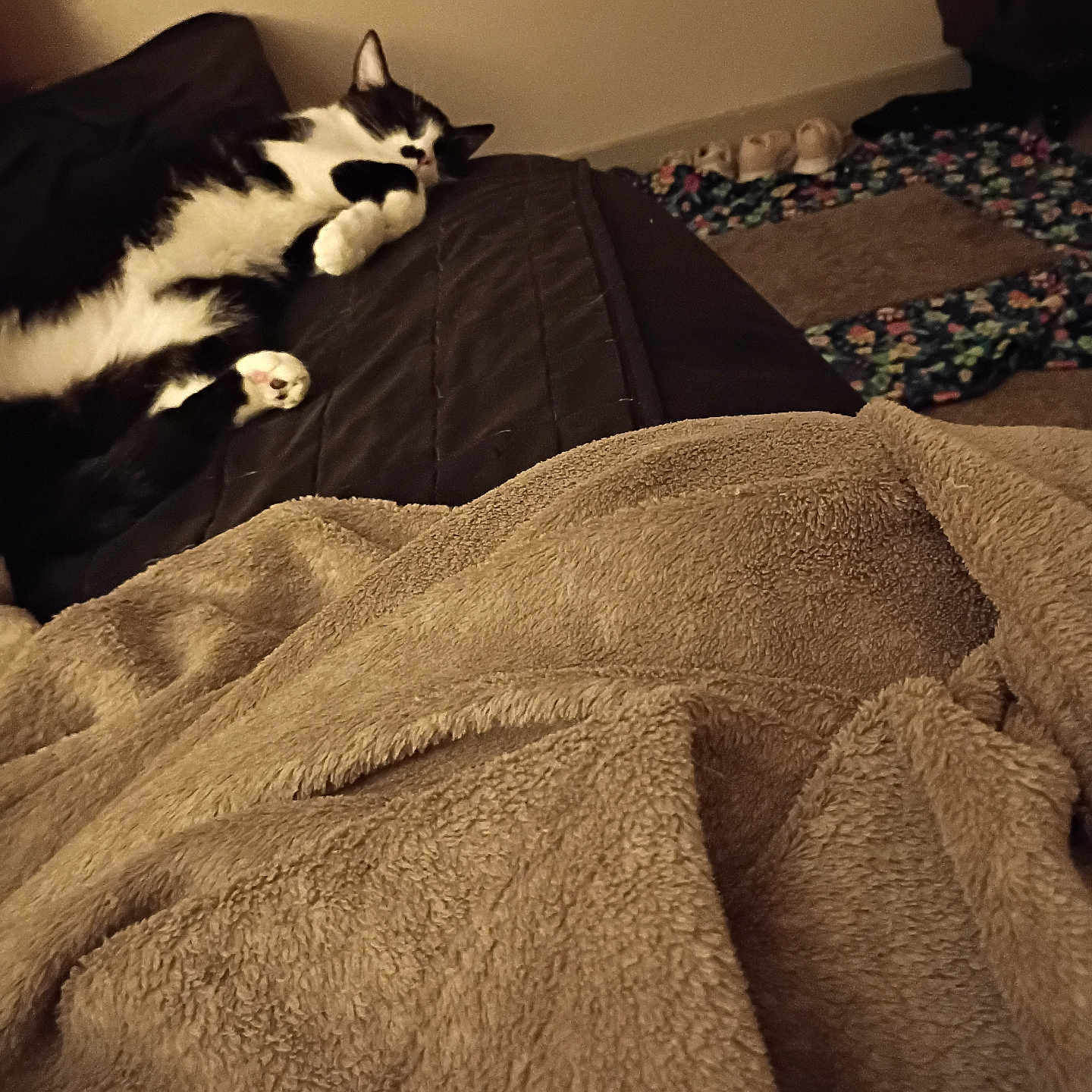 Tux