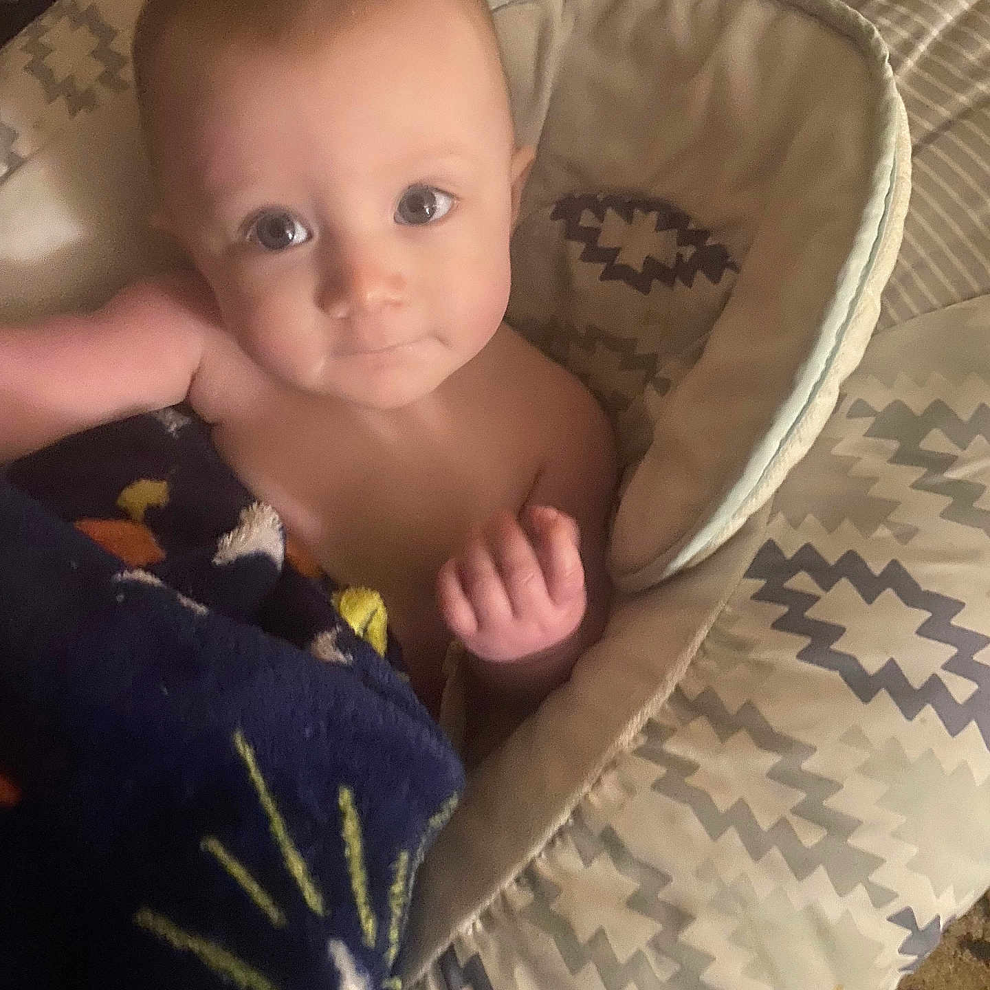 Ansleigh is registered to the contest to win money with this photo: baby, blanket, face, infant, child, seat, patterned, cozy, indoors, looking_up, cute, skin, hand, expression, comfort, young, soft, toddler, portrait, resting