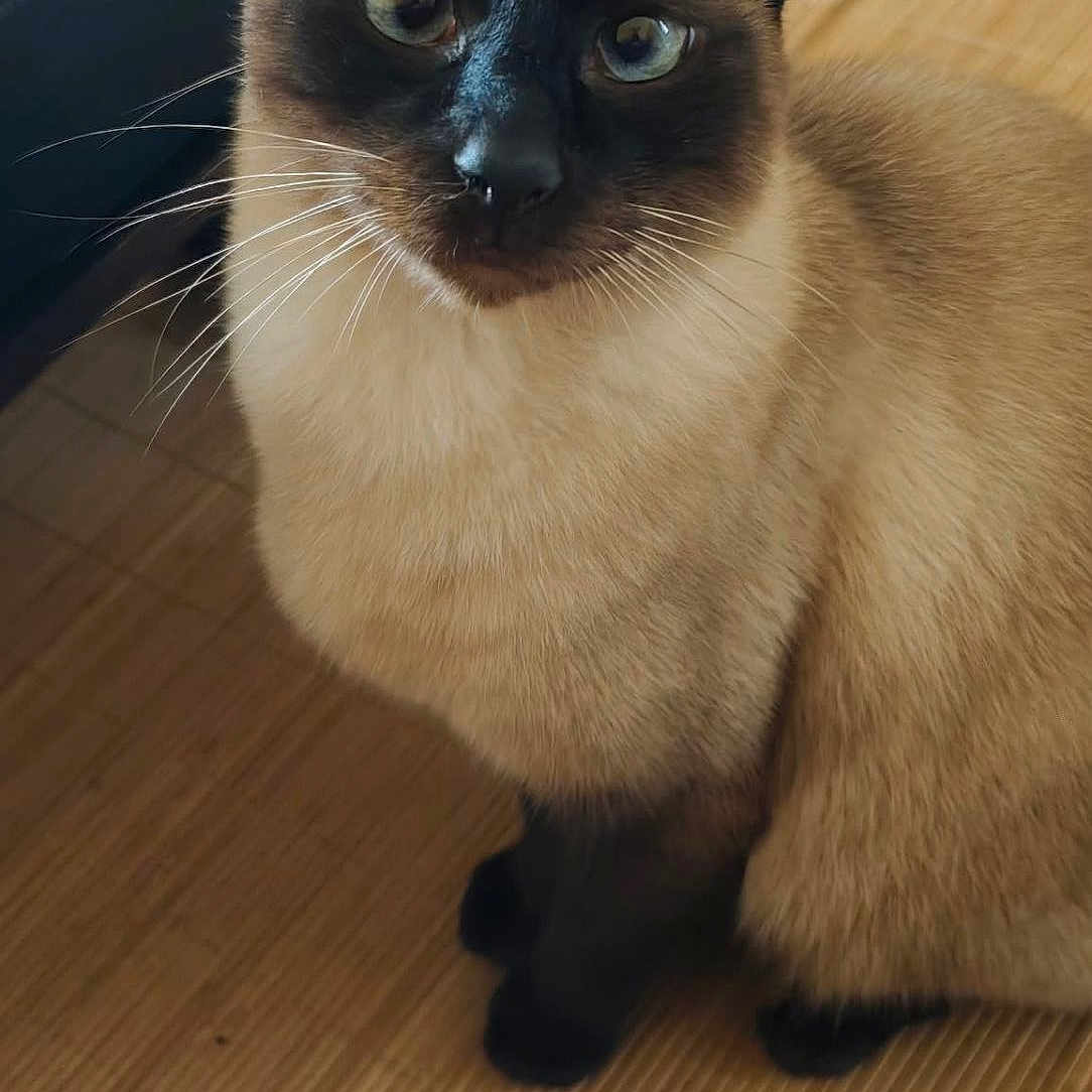 Oméga