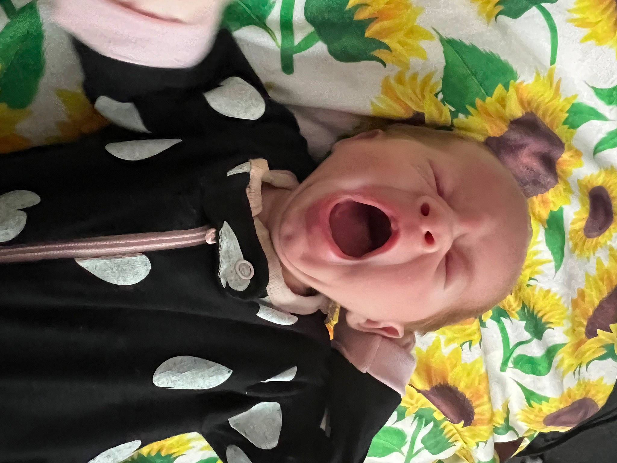 Cecily is registered to the contest to win money with this photo: art, baby, baby_products, baby_toddler_clothing, cheek, child, event, eye, fun, grass, happy, head, laugh, mouth, nose, person, plant, smile, toddler, tree