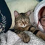 blanket, cat, comfort, cozy, cute, face, furniture, fuzzy_hood, glasses, indoor, paw, person, pillow, relaxed, resting, sleeping, soft_texture, striped, tabby, warm