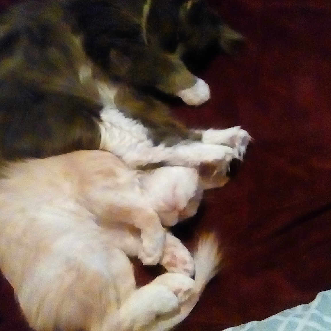 Heidi And Carmel
