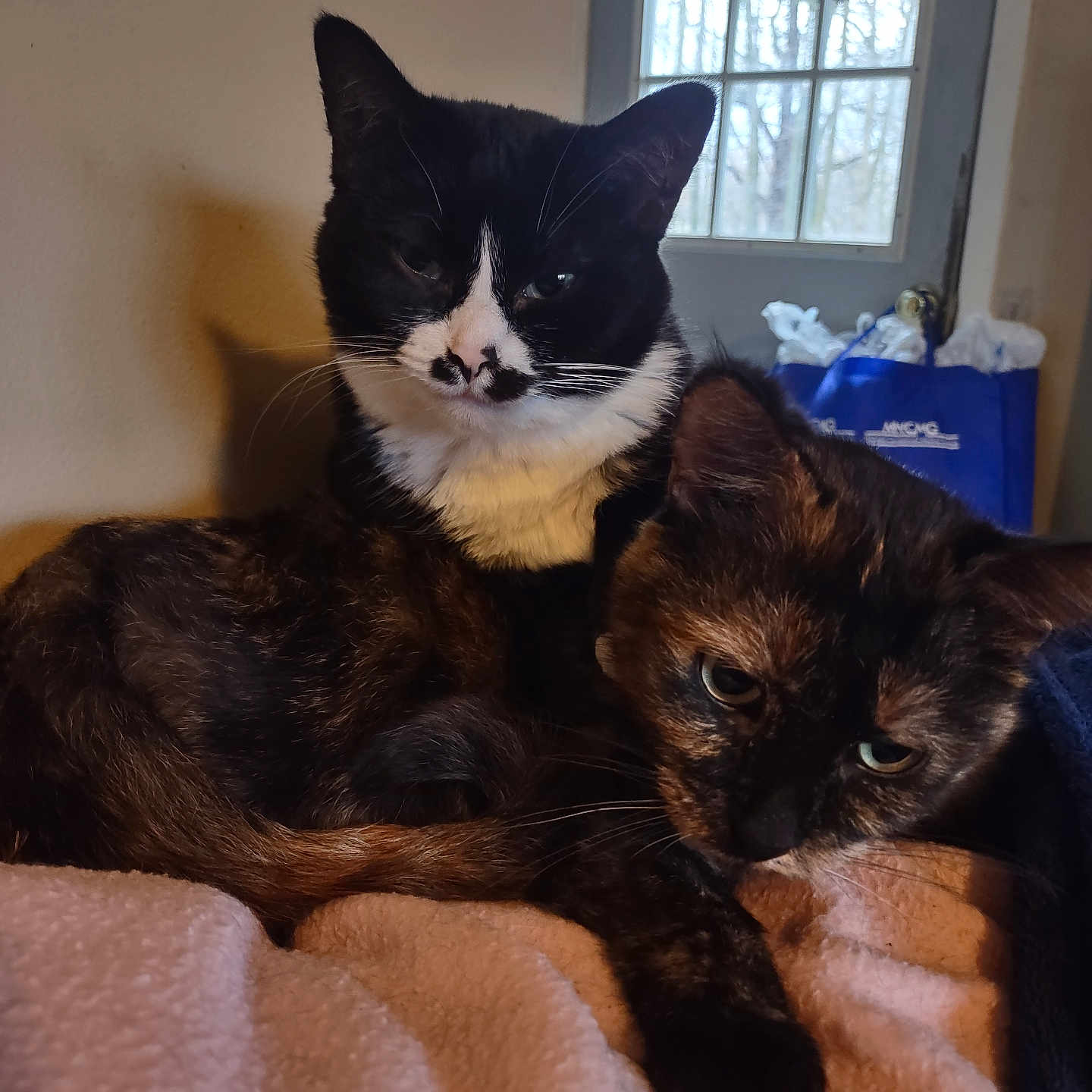 Lucy And Boots