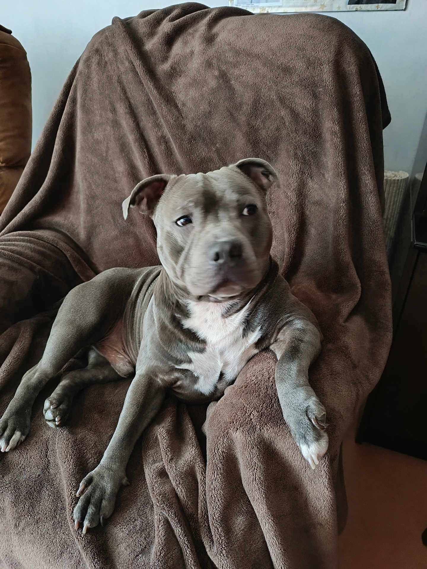Usko