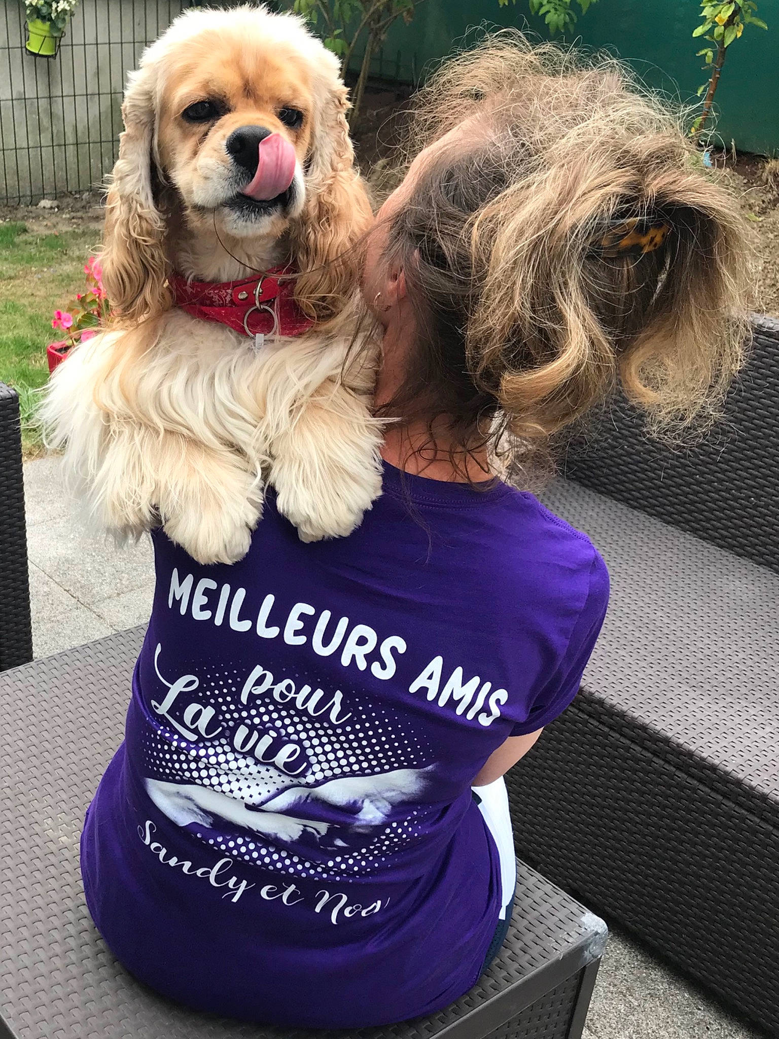 Noa a rejoint le concours — aidez-le/la à gagner de superbes lots ! canidae, carnivore, cavachon, cavapoo, chinese_imperial_dog, companion_dog, dog, dog_breed, dog_clothes, lhasa_apso, lowchen, maltepoo, mammal, morkie, pekingese, puppy, puppy_love, rare_breed_dog, shih_tzu, toy_dog