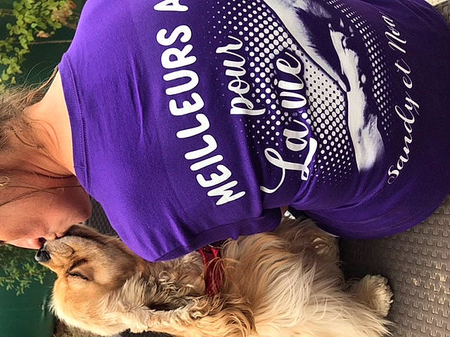 Noa a rejoint le concours — aidez-le/la à gagner de superbes lots ! canidae, carnivore, companion_dog, cool, dog, dog_breed, ear, headgear, human, long_hair, love, puppy, puppy_love, purple