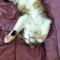 Florence B.