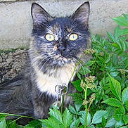 Lady participe au concours pour gagner de l'argent avec cette photo :