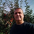 Stephane B.