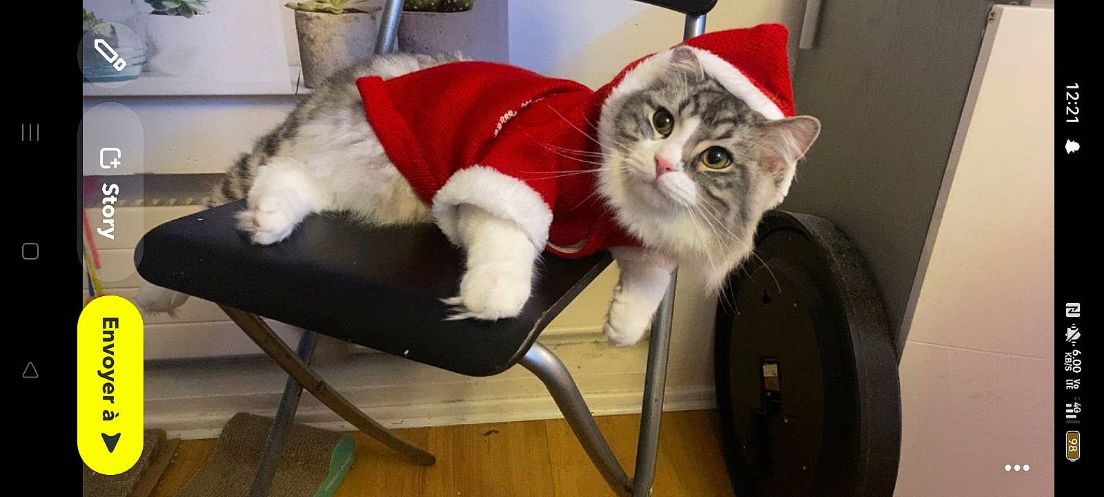 Totti participe au concours pour gagner de l'argent avec cette photo : carnivore, cat, cat_supply, chair, comfort, domestic_short_haired_cat, event, felidae, flooring, fur, hardwood, lap, paw, plant, room, small_to_medium_sized_cats, tail, whiskers, wood, wood_flooring