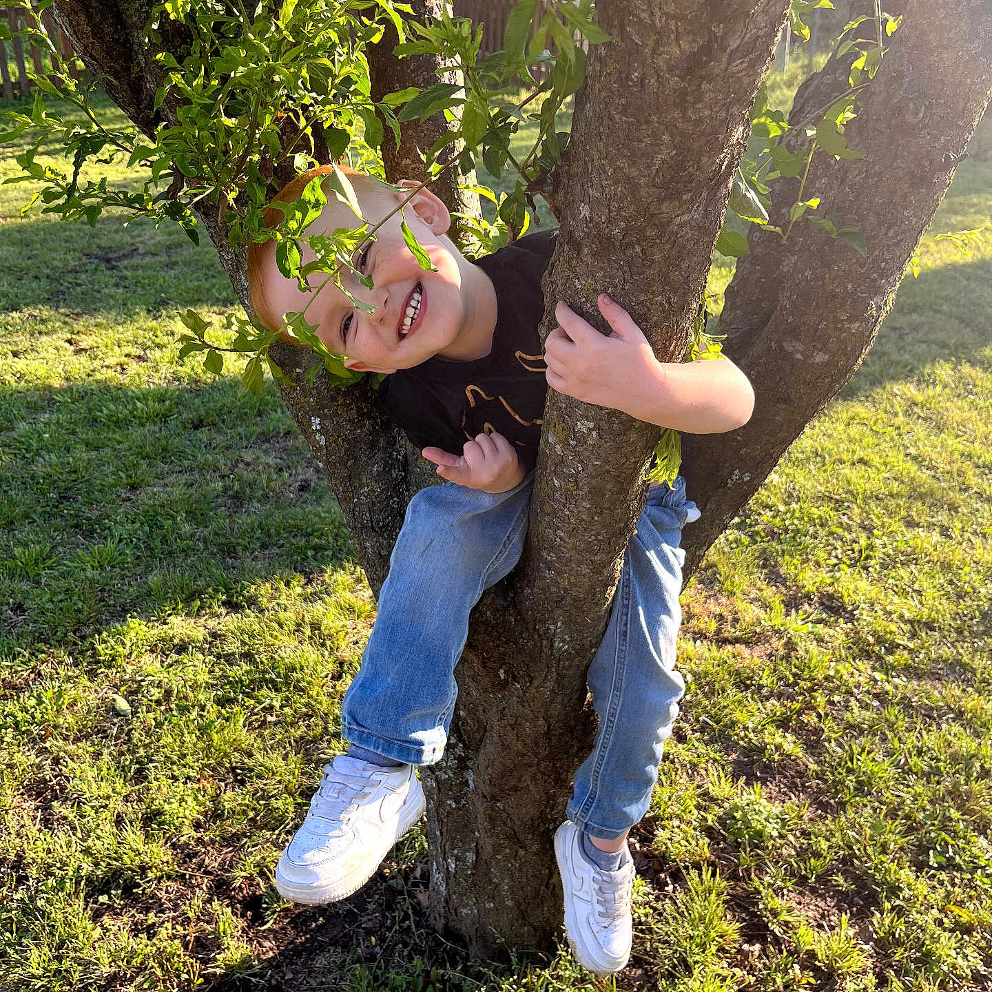 Kenneth joined the competition — help win amazing prizes! child, boy, tree, climbing, smiling, sunlight, grass, outdoor, nature, casual_clothing, jeans, sneakers, playful, happy, greenery, branches, daylight, leaves, person, fun