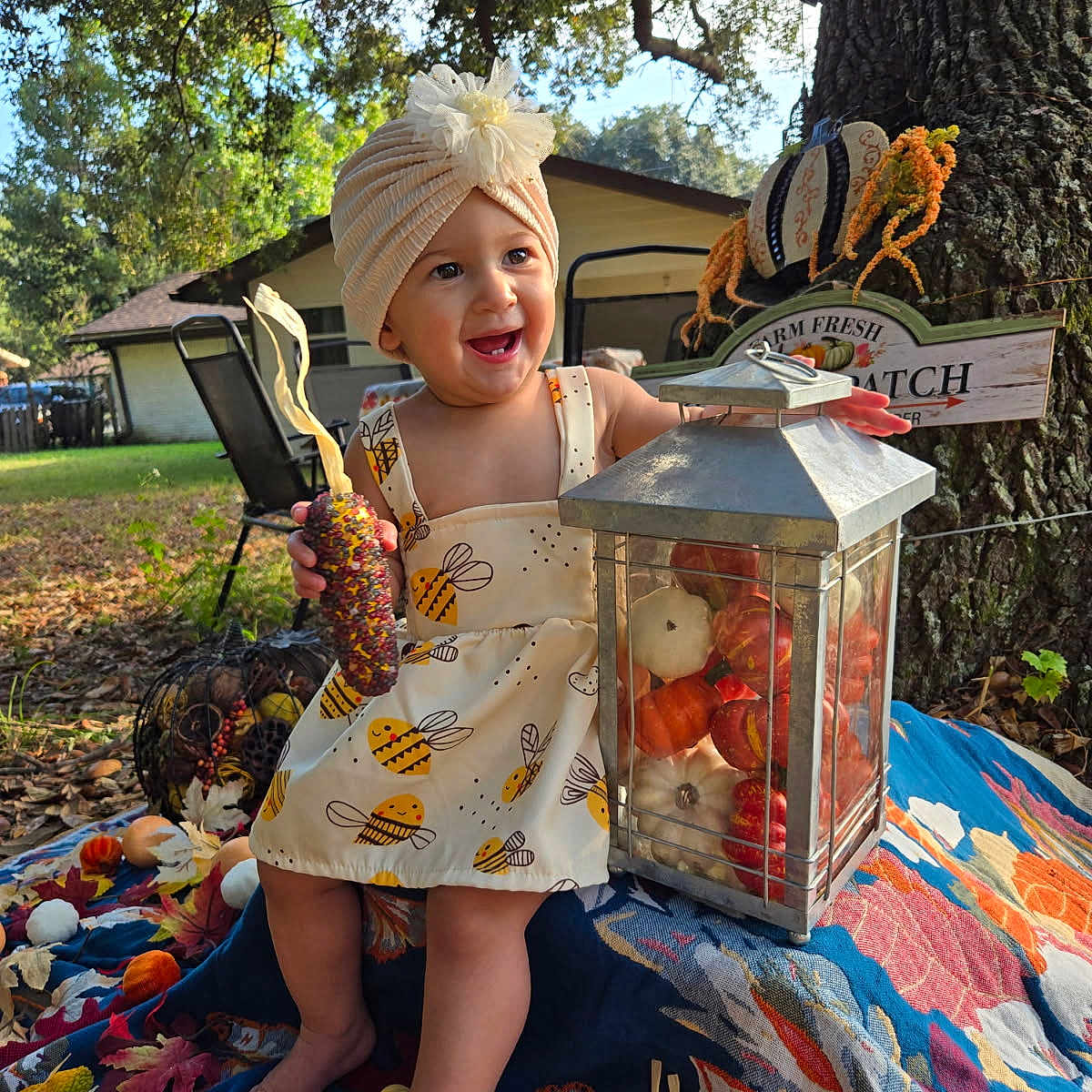 Jessamae is registered to the contest to win money with this photo: autumn, baby, blanket, child, corn, dress, festive, flower, happy, headband, lantern, leaves, nature, outdoor, pumpkins, sitting, smile, sunlight, toddler, tree