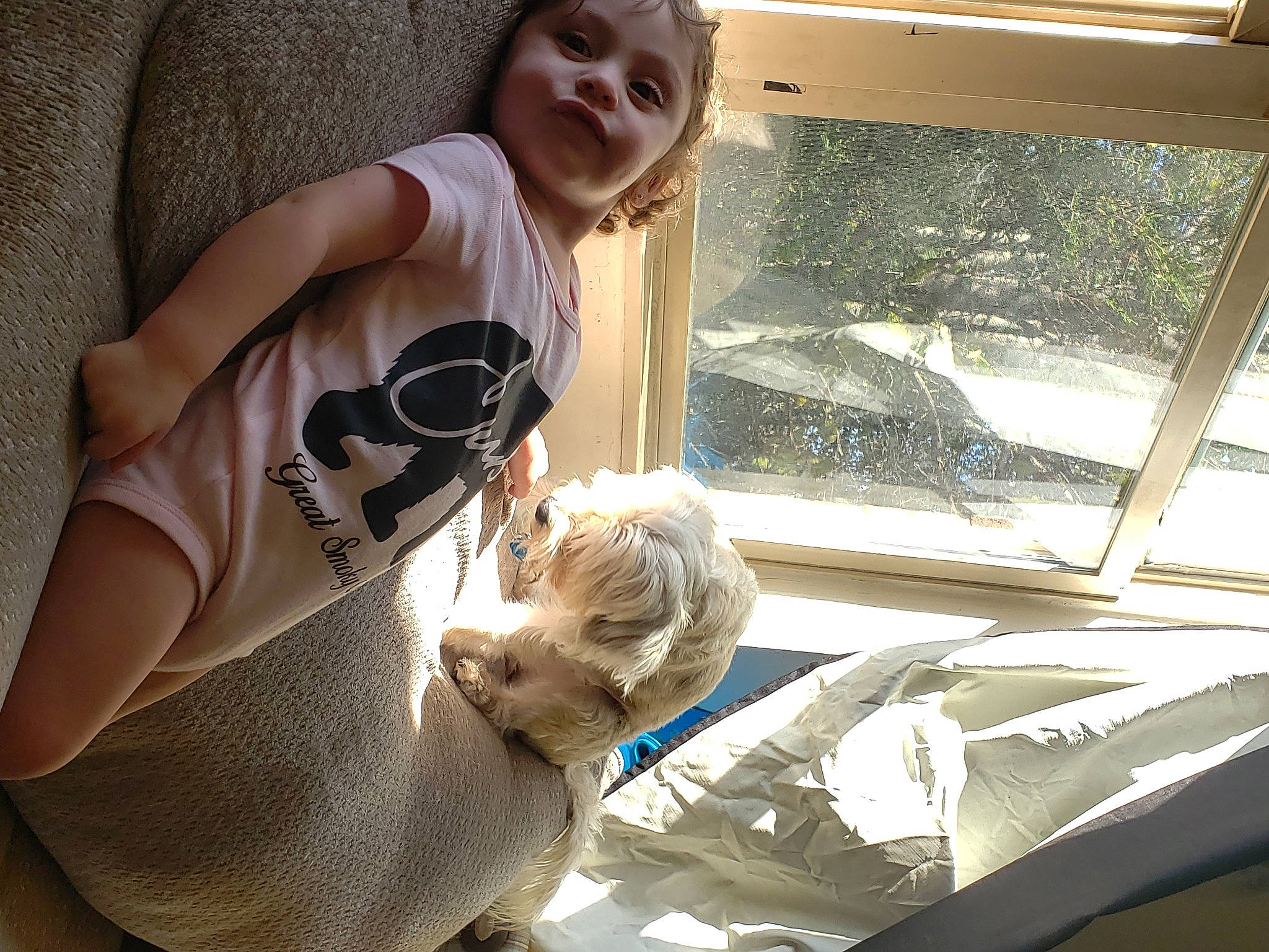 Abigail is registered to the contest to win money with this photo: auto_part, automotive_exterior, automotive_window_part, car_seat, chest, child, comfort, elbow, eyewear, fun, glass, human_leg, leisure, person, sitting, smile, thigh, toddler, vehicle_door, window