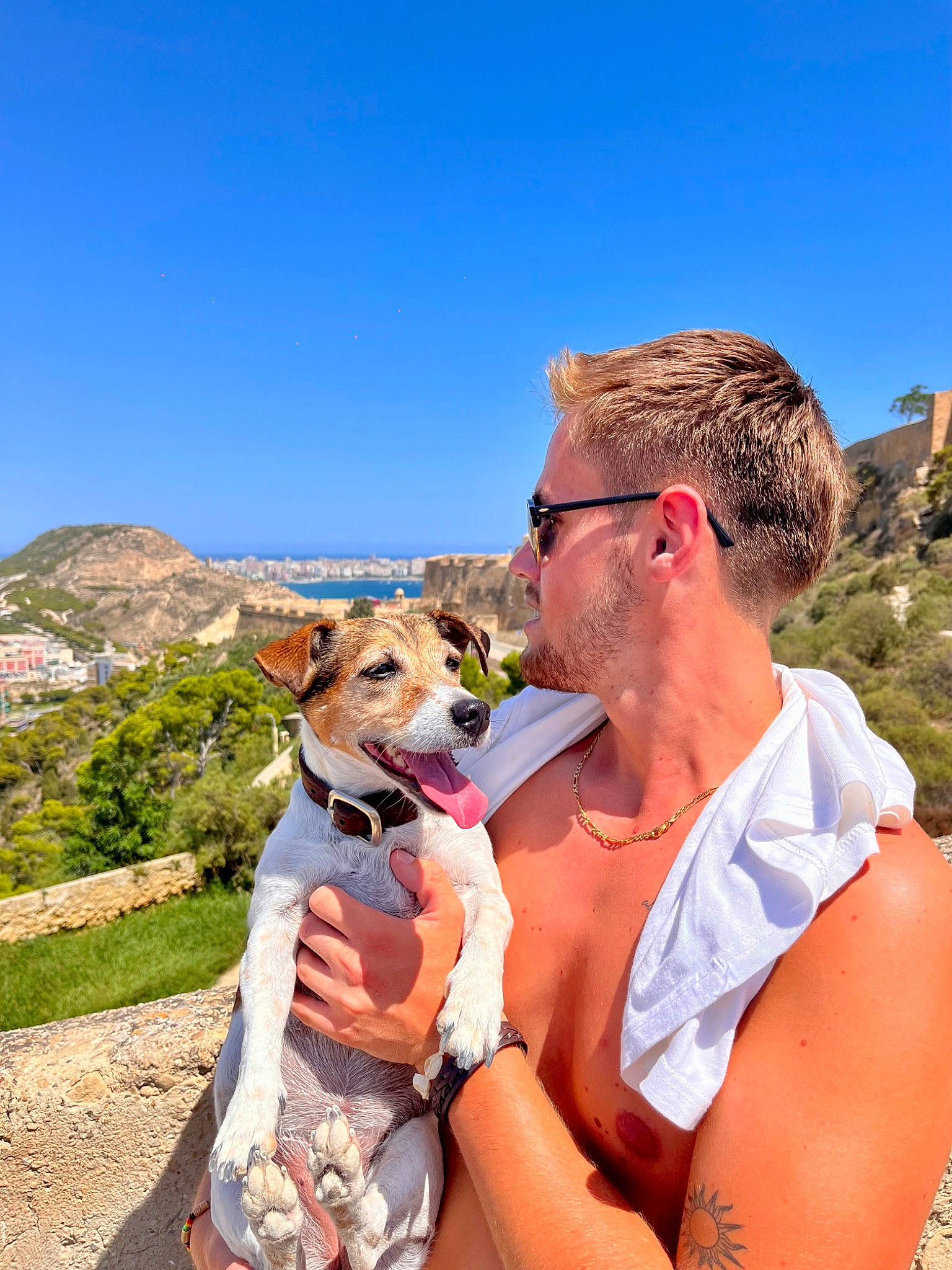 Quiera participe au concours pour gagner de l'argent avec cette photo : carnivore, companion_dog, dog, dog_breed, eyewear, fawn, glasses, goggles, grass, happy, hat, landscape, leisure, mammal, plant, recreation, sky, sporting_group, summer, sunglasses