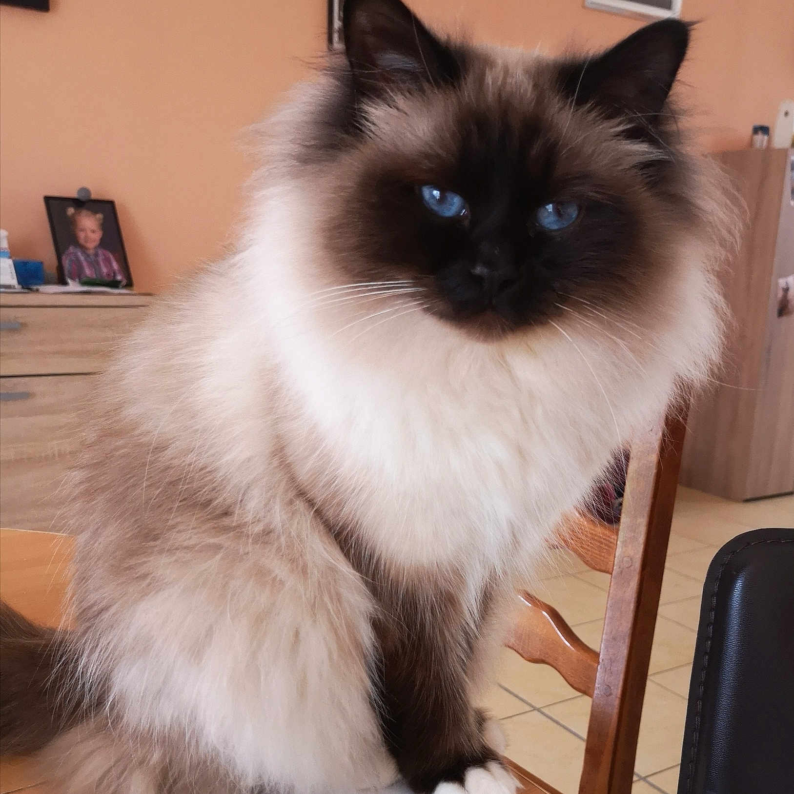 Naoki