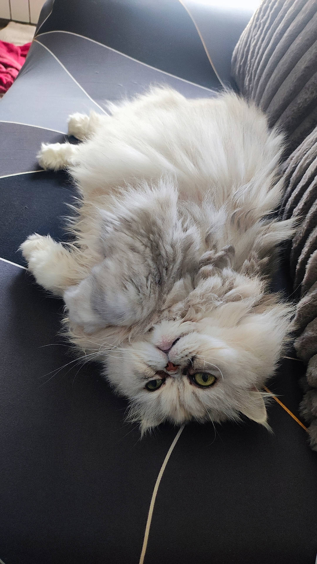 Louna