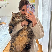 Molly a rejoint le concours — aidez-le/la à gagner de superbes lots ! person, cat, indoor, mirror, selfie, fluffy_cat, holding, bed, wooden_floor, curtains, color_swatches, phone, sweater, bracelet, long_hair, home, cozy, reflection, furniture, natural_light