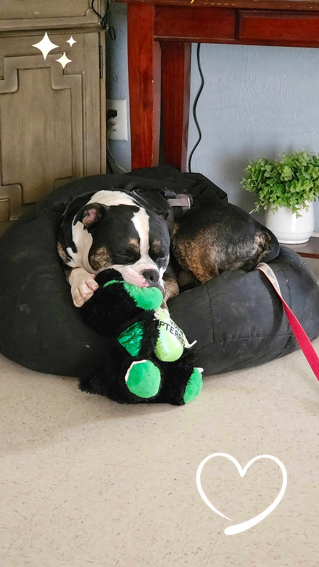 Loki