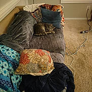 Martin joined the competition — help win amazing prizes! cat, tabby_cat, couch, blanket, pillow, living_room, carpet, window, power_strip, cord, indoor, resting, sleeping_cat, cozy, home, soft_furnishing, decor, relaxation, warm_lighting, domestic