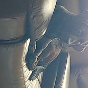 Raven joined the competition — help win amazing prizes! backlighting, chest, darkness, elbow, electric_blue, flash_photography, gesture, human_leg, lens_flare, monochrome, monochrome_photography, personal_protective_equipment, shadow, sitting, sky, smile, tree, window, wing