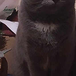 Leo