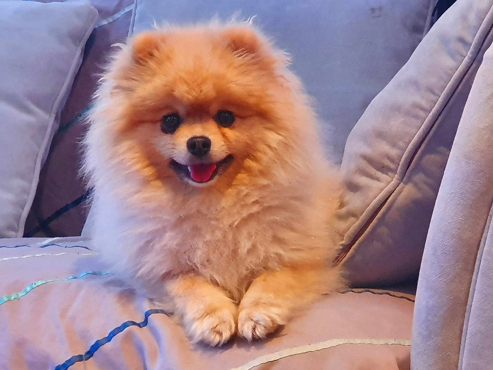 Sebastian