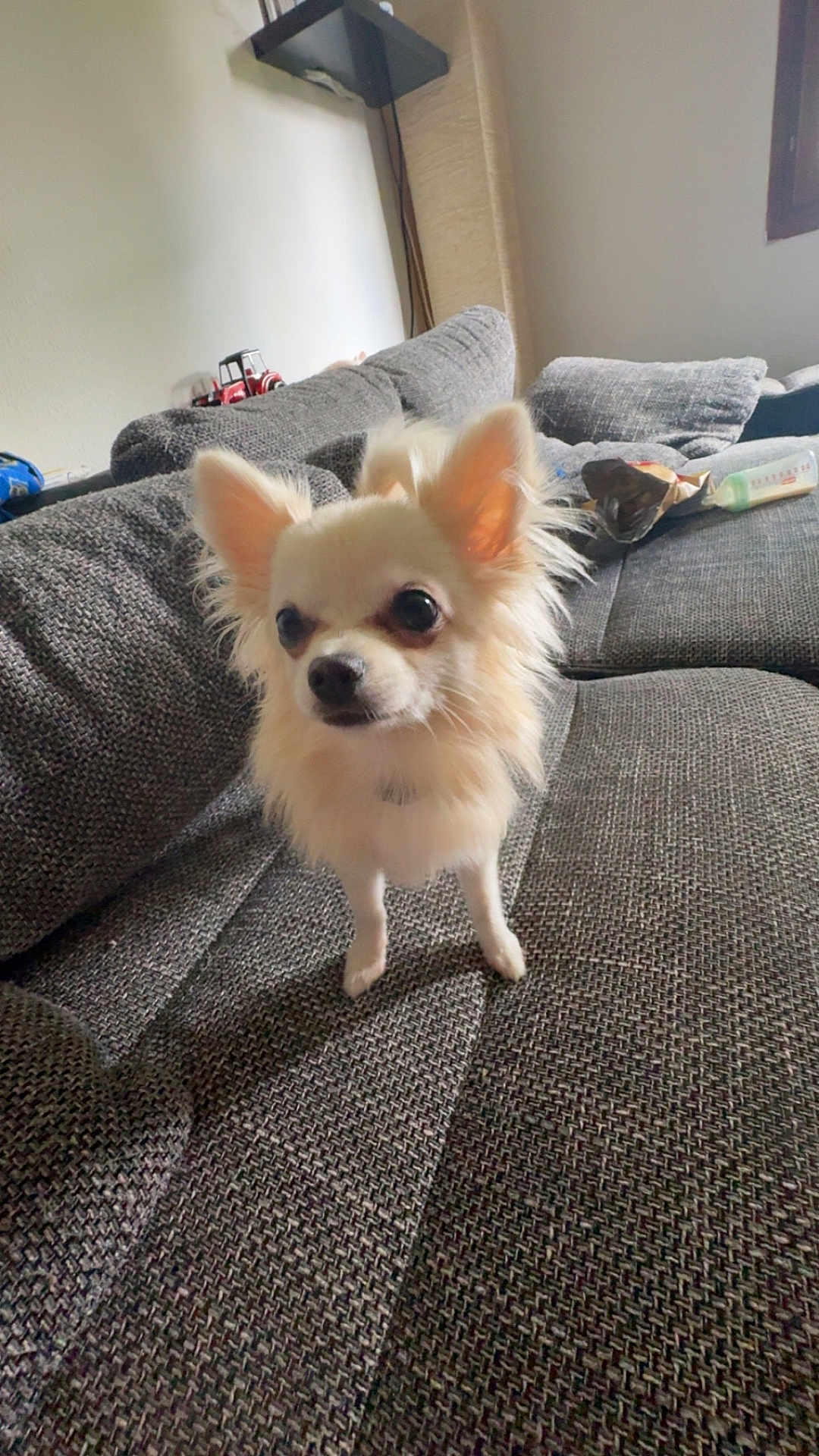 Nahla