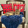 animal, antlers_design, blue_throw, cat, chair, cozy, decor, feline, fluffy_fabric, furniture, home, indoor, pet, plaid_pattern, red_pillow, relaxed, resting, striped_chair, tabby_cat, wood_floor
