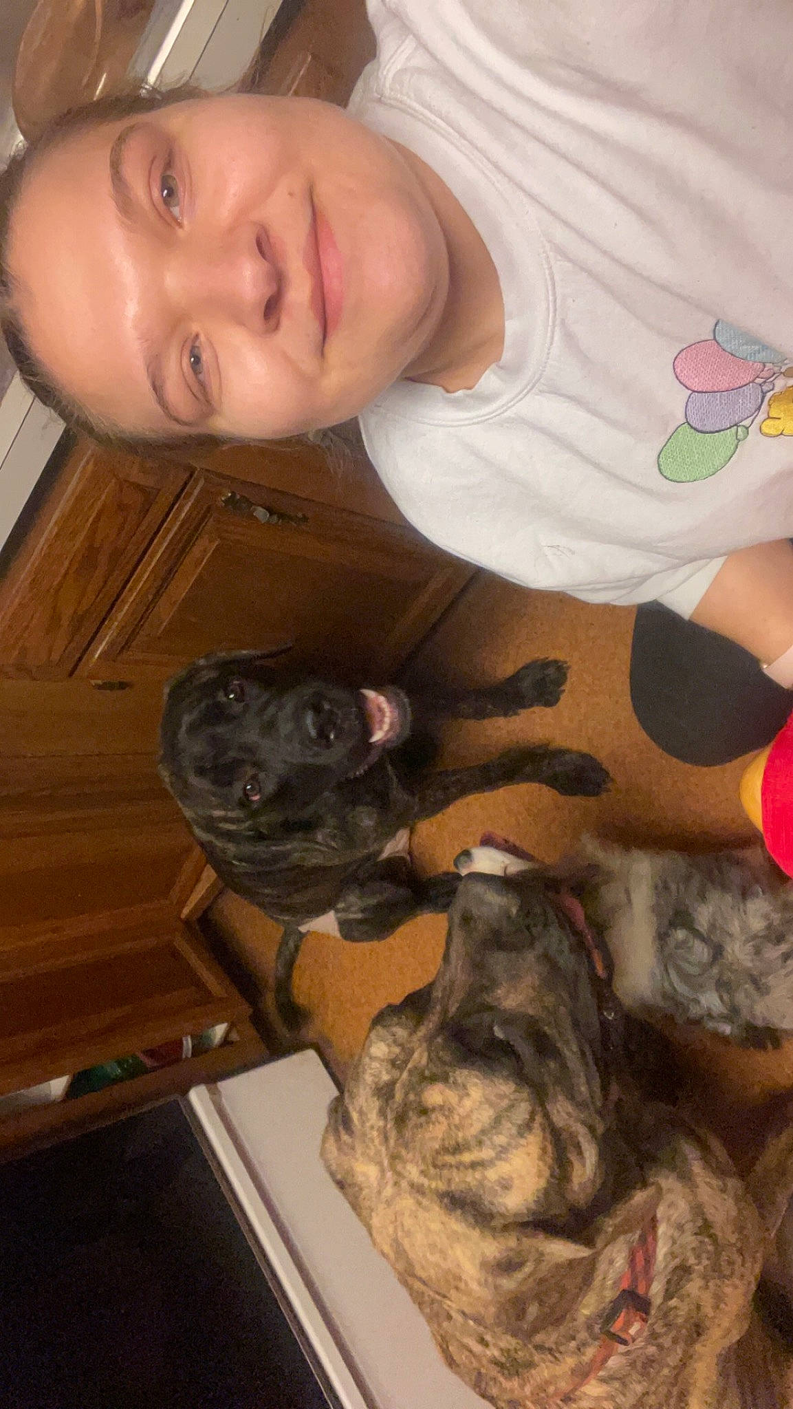 Luna joined the competition — help win amazing prizes! canidae, carnivore, comfort, companion_dog, dog, dog_breed, fawn, felidae, fur, happy, mammal, paw, small_to_medium_sized_cats, smile, snout, sporting_group, toy_dog, whiskers, wood, working_animal