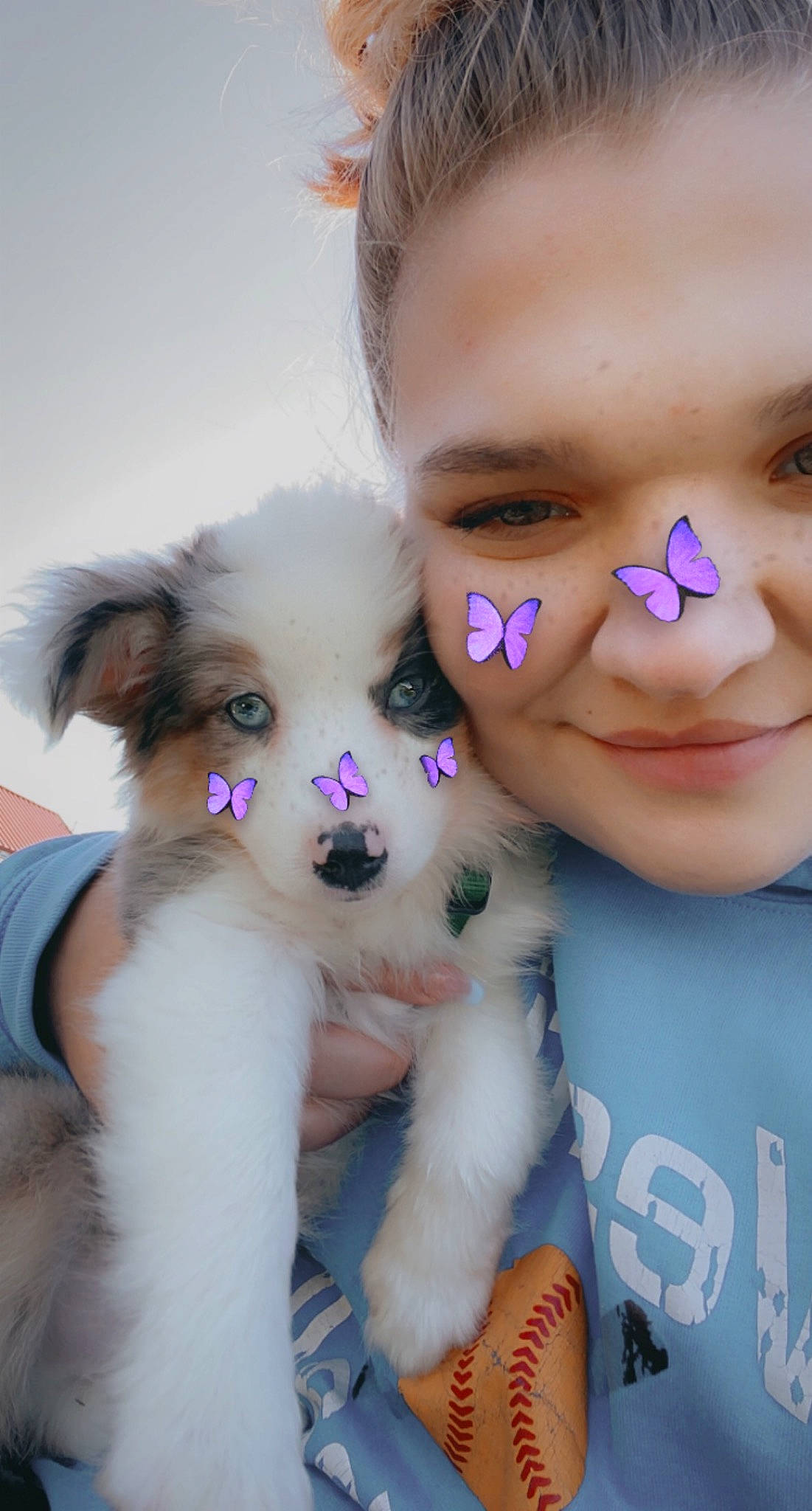 Jasper joined the competition — help win amazing prizes! carnivore, companion_dog, dog, dog_breed, dog_supply, ear, eye, eyebrow, eyelash, fawn, gesture, happy, iris, nose, pink, skin, snout, sporting_group, toy_dog, white