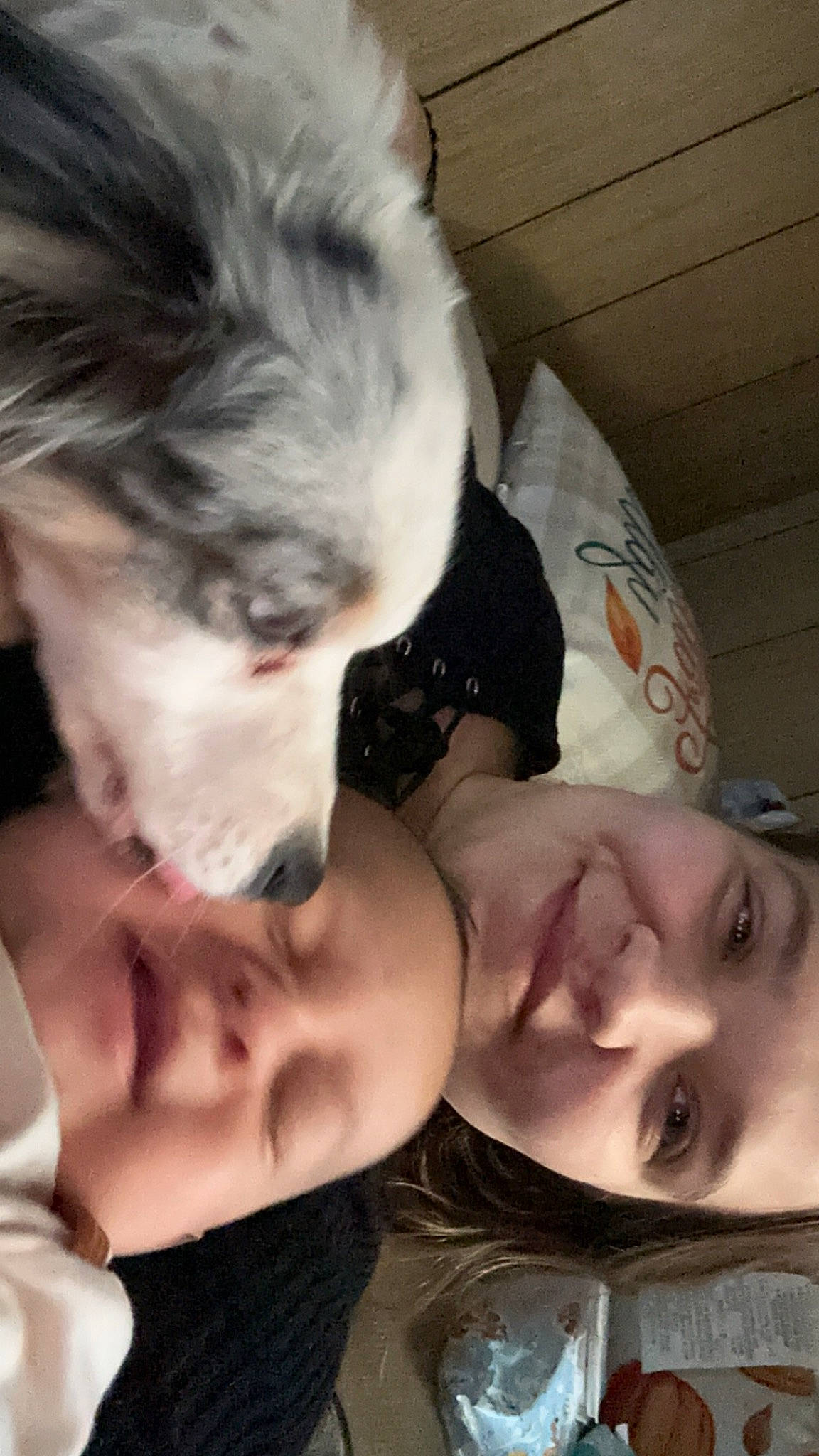 Jasper is registered to the contest to win money with this photo: cheek, chin, dress, ear, eye, eyebrow, eyelash, face, forehead, happy, human, jaw, lip, mouth, neck, nose, organ, skin, smile, vertebrate