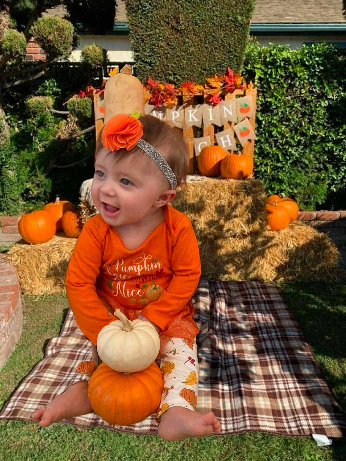 Zoey is registered to the contest to win money with this photo: baby, child, pumpkin, fall, autumn, headband, flower, blanket, hay_bale, orange, outdoor, grass, smiling, cute, festive, decor, garden, plaid, leaf_pattern, person