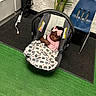 Jazmine joined the competition — help win amazing prizes! baby, infant, car_seat, blanket, pink_bow, pink_bib, sleeping, indoor, floor, green_carpet, black_carpet, blue_chair, plant, brick_wall, baby_clothing, child, person, headband, resting, cozy