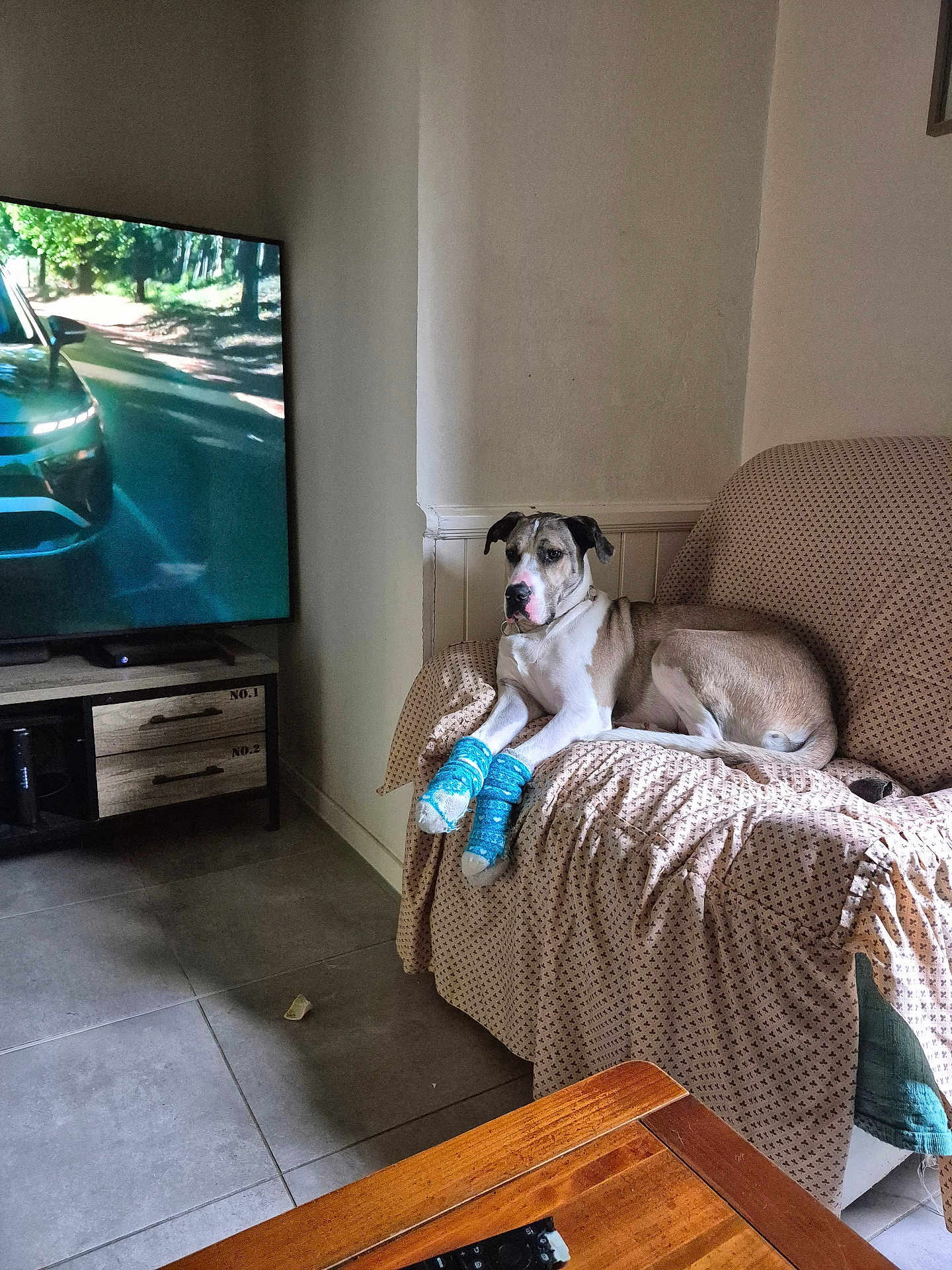 Marley