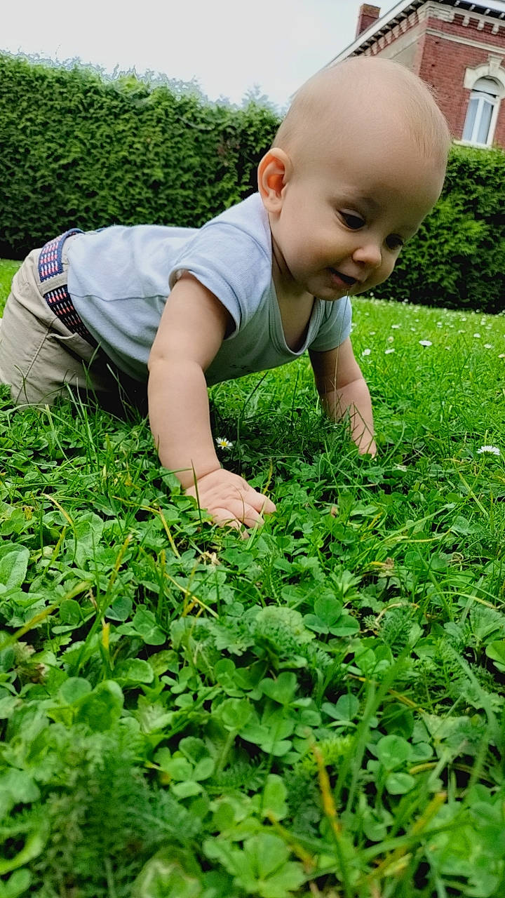 Matt participe au concours pour gagner de l'argent avec cette photo : annual_plant, baby, baby_toddler_clothing, botany, child, garden, grass, grassland, green, groundcover, happy, leaf, people_in_nature, person, plant, shrub, soil, t_shirt, terrestrial_plant, toddler
