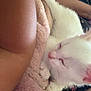 cat, white_cat, sleeping, blanket, pink_blanket, cozy, fur, pet, snuggling, arm, skin, resting, indoor, comfort, domestic_animal, close_up, cute, soft_texture, relaxation, animal