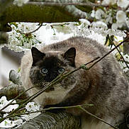 Crapouille participe au concours pour gagner de l'argent avec cette photo :