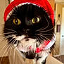 cat, black_and_white, whiskers, close_up, indoor, holiday_hat, red_hat, antlers, pet, animal, feline, cute, costume, wide_eyes, fur, domestic_cat, face, muzzle, curious, indoor_lighting