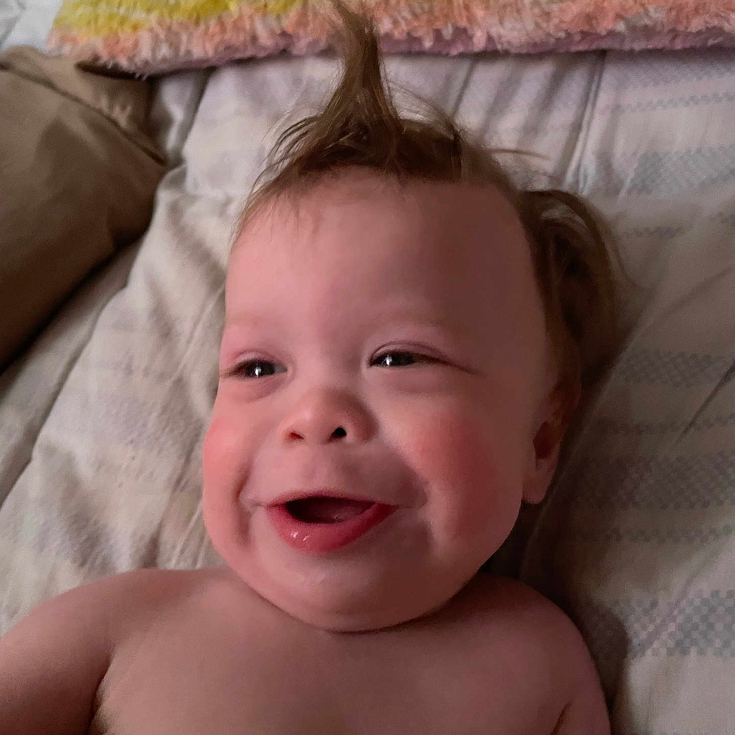 Gunner joined the competition — help win amazing prizes! baby, babylaughing, bodypart, couch, cushion, face, finger, furniture, hand, happy, head, homedecor, laughing, mouth, newborn, person, photography, pillow, portrait, smile