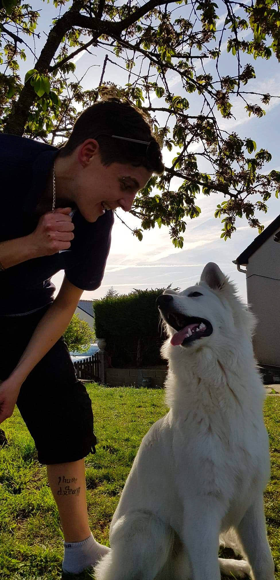 Oz. a rejoint le concours — aidez-le/la à gagner de superbes lots ! akita, akita_inu, american_eskimo_dog, berger_blanc_suisse, canidae, carnivore, companion_dog, dog, dog_breed, japanese_spitz, kintamani, korean_jindo_dog, mammal, non_sporting_group, norwegian_buhund, person, samoyed, spitz, vertebrate, volpino_italiano