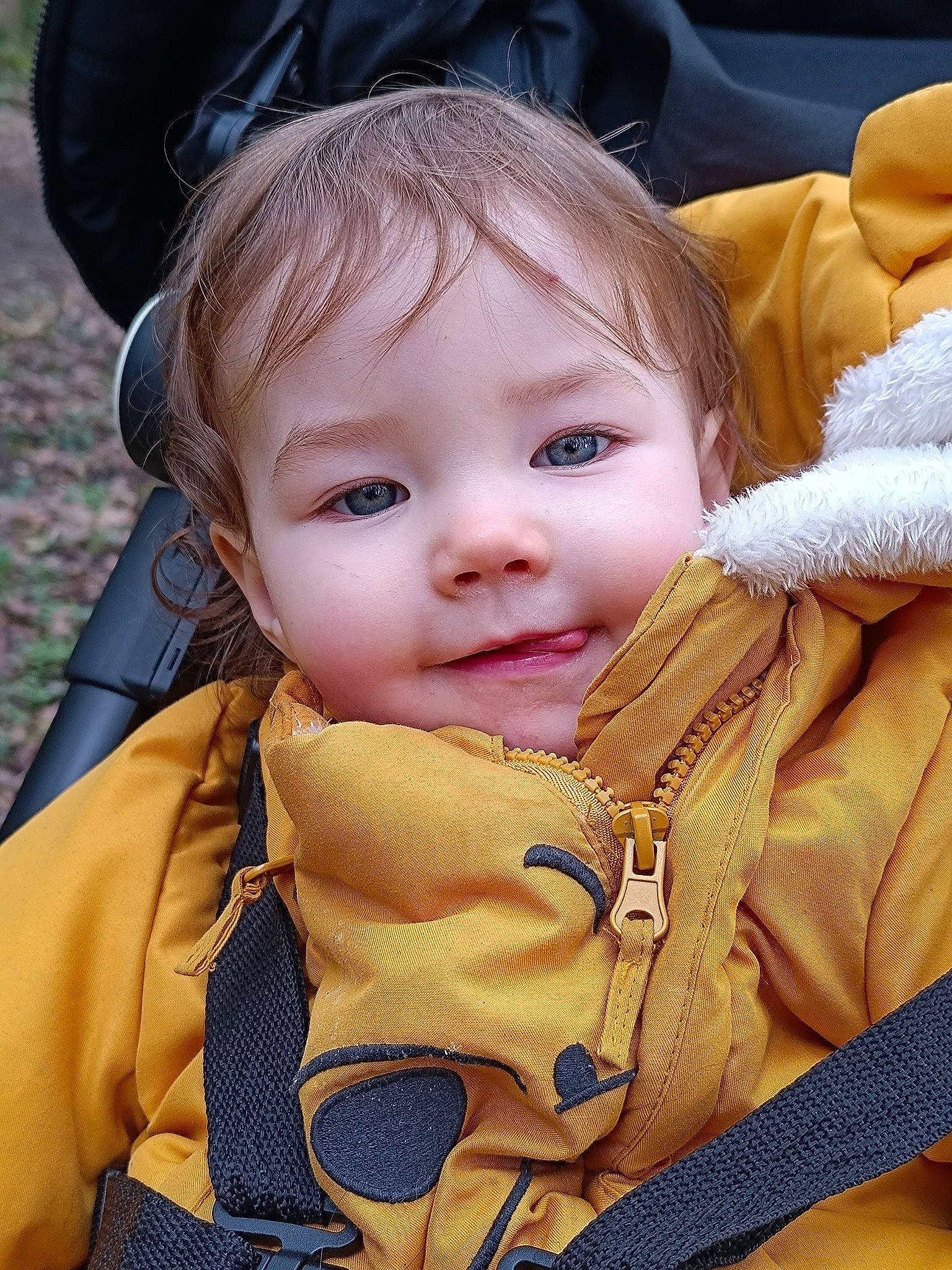 Malo participe au concours pour gagner de l'argent avec cette photo : baby, baby_carriage, baby_toddler_clothing, blond, cheek, child, eye, facial_expression, grass, happy, human, iris, mammal, nose, outerwear, people_in_nature, person, skin, smile, toddler