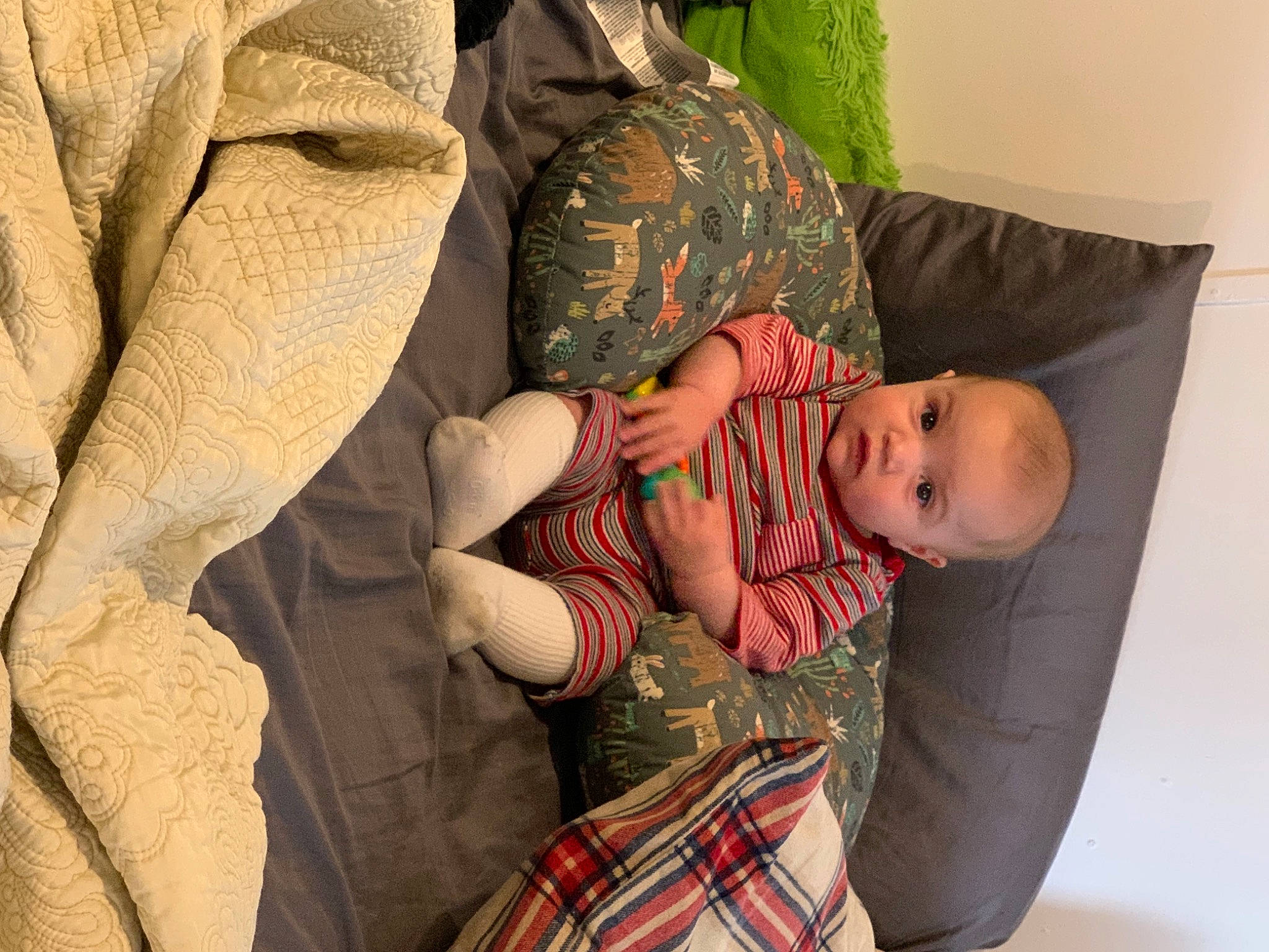 Chad is registered to the contest to win money with this photo: arm, baby, baby_toddler_clothing, child, comfort, elbow, finger, gesture, human_body, human_leg, joint, leg, linens, pattern, person, sitting, skin, sleeve, tartan, textile