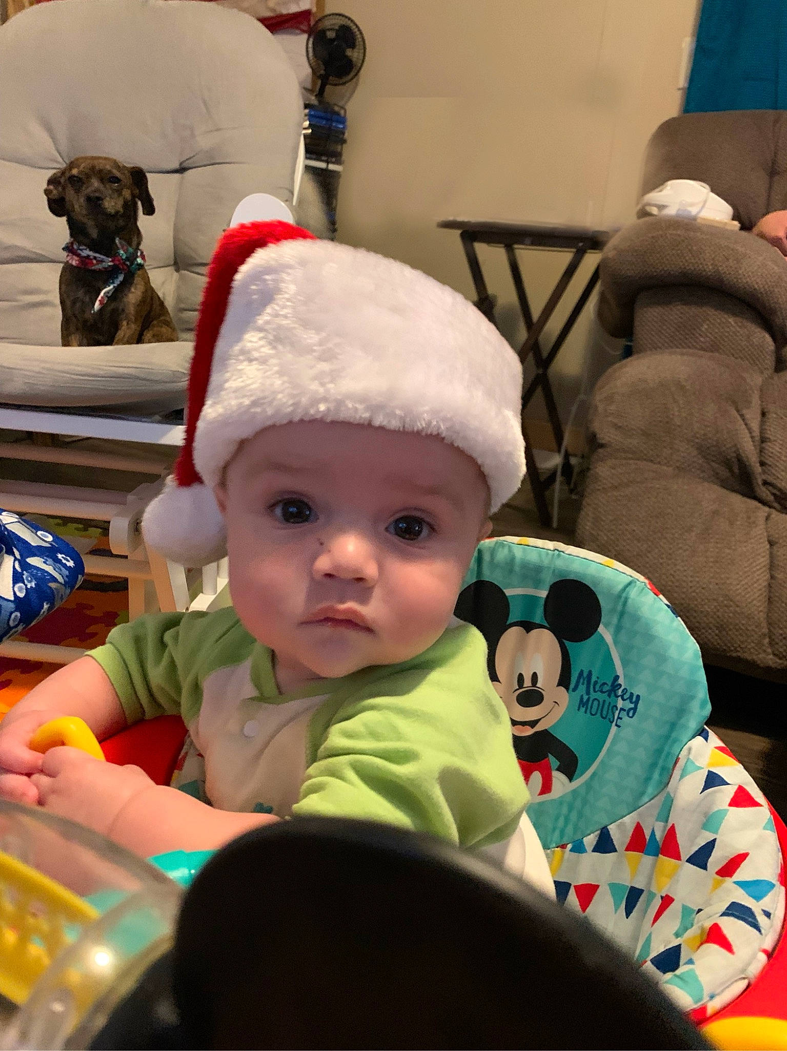 Chad joined the competition — help win amazing prizes! baby, baby_toddler_clothing, cap, chair, cheek, child, christmas, christmas_eve, comfort, dog, event, fun, happy, headwear, holiday, lap, person, room, santa_claus, sitting